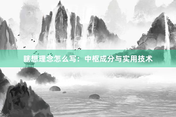 瞎想理念怎么写：中枢成分与实用技术
