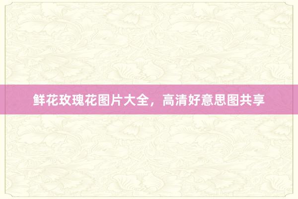 鲜花玫瑰花图片大全，高清好意思图共享